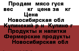 Продам  мясо гуся ( вес 3-3,5 кг) цена за 1 кг › Цена ­ 380 - Новосибирская обл., Купинский р-н, Купино г. Продукты и напитки » Фермерские продукты   . Новосибирская обл.